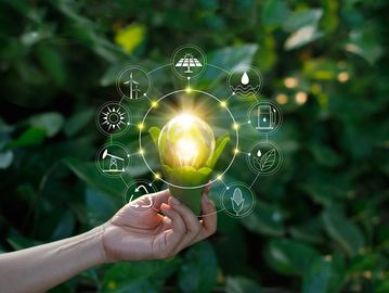 Renewal wellness coaching package